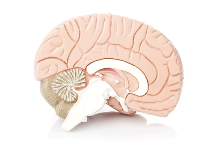 Neuroscience Nursing